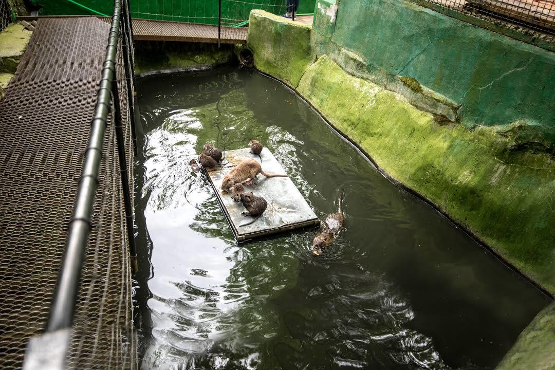 Zoo Zagreb